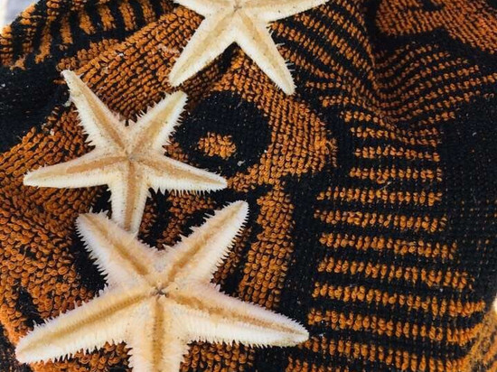 昌江棋子湾旅游彩虹度假公寓