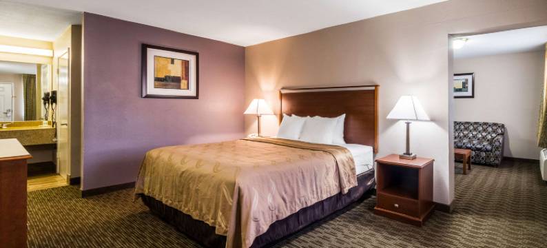 市中心附近大学凯艺酒店(Quality Inn University Near Downtown)图片