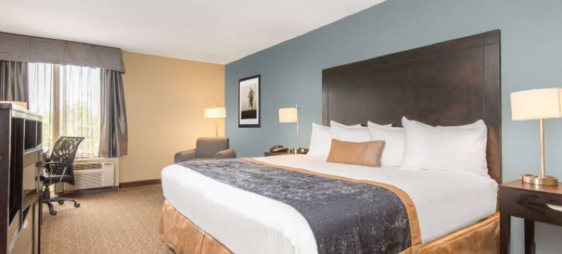 温德姆花园酒店-特克萨卡纳(Wyndham Garden Texarkana)图片