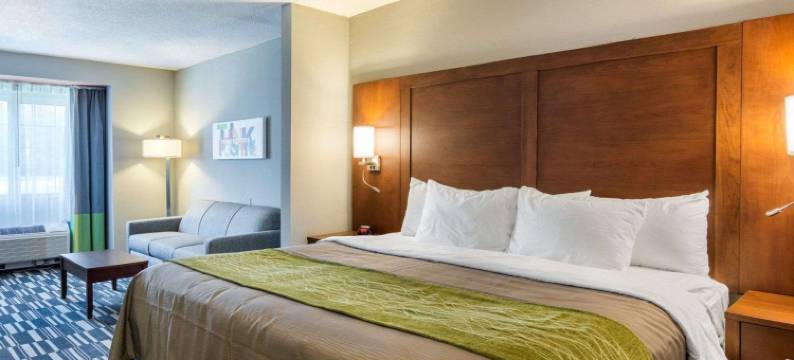 亚什兰帝王之城游乐园附近凯艺套房酒店(Quality Inn & Suites Ashland Near Kings Dominion)图片