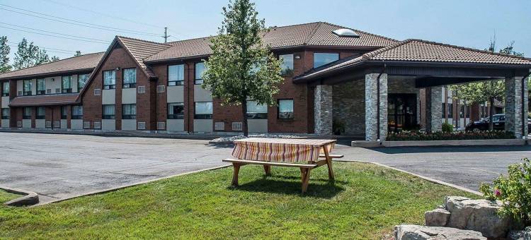 舒适酒店(Comfort Inn)图片