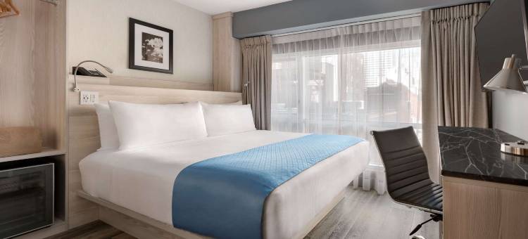 纽约中城南第五大道蔚景温德姆酒店(Wingate by Wyndham New York Midtown South/5th Ave)图片