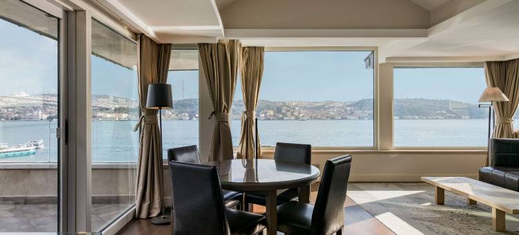 伊斯坦布尔丽笙蓝标博斯普鲁斯酒店(Radisson Blu Bosphorus Hotel, Istanbul)图片