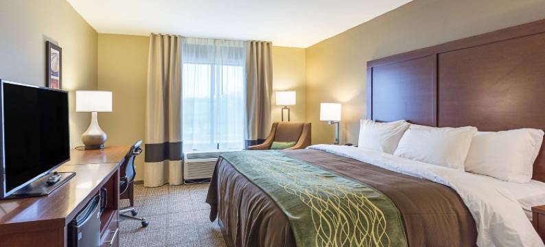 舒适套房酒店(Comfort Inn & Suites Zachary)图片