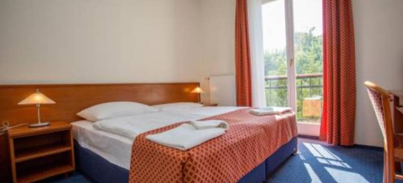 穹窿酒店(Főnix Hotel)图片