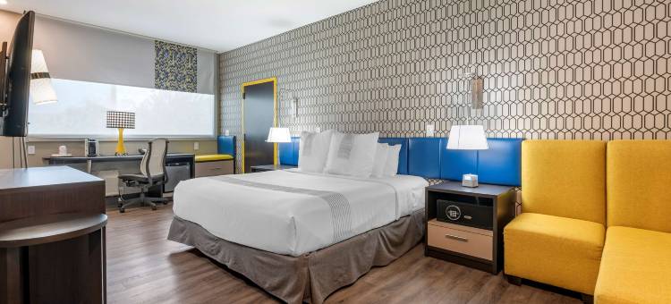 格洛莱辛顿贝斯特韦斯特酒店(GLo Best Western Lexington)图片