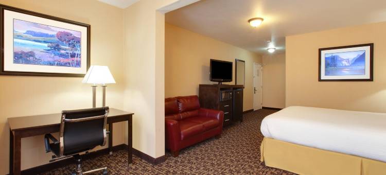 Holiday Inn Express 奥克代尔(Holiday Inn Express OAKDALE by IHG)图片