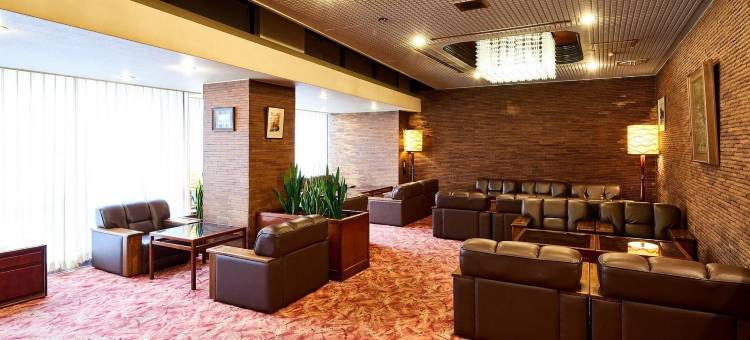 东京Marroad Inn酒店(Marroad Inn Tokyo)图片