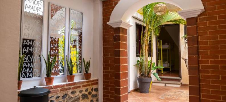 为什么不酒店(Why Not Hotel)图片