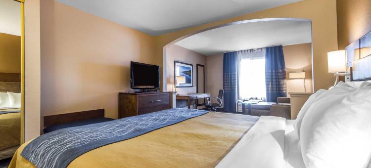 酒店(舒适酒店South San Jose / 摩根山)(Comfort Inn South San Jose - Morgan Hill)图片