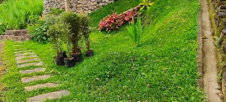 克里穆图天堂度假村(KELIMUTU PARADISO RESORT)图片