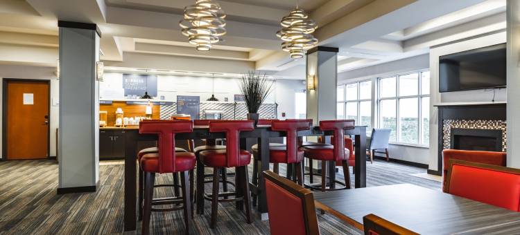 新马丁斯维尔洲际智选假日套房酒店(Holiday Inn Express & Suites NEW MARTINSVILLE by IHG)图片