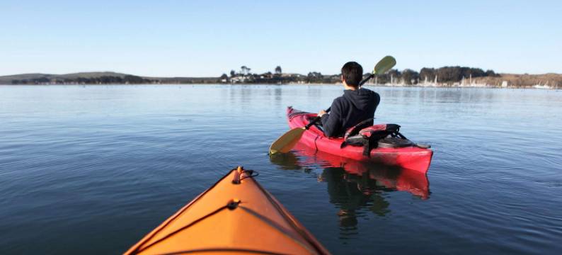 卡温顿M星酒店(M Star Hotel Covington)图片