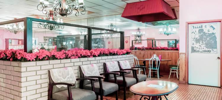 OYO 德克萨斯爱丽丝281号公路西酒店(OYO Hotel Alice TX Hwy 281 West)图片
