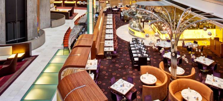 凯悦雷根西奥黑尔芝加哥(Hyatt Regency O'Hare Chicago)图片