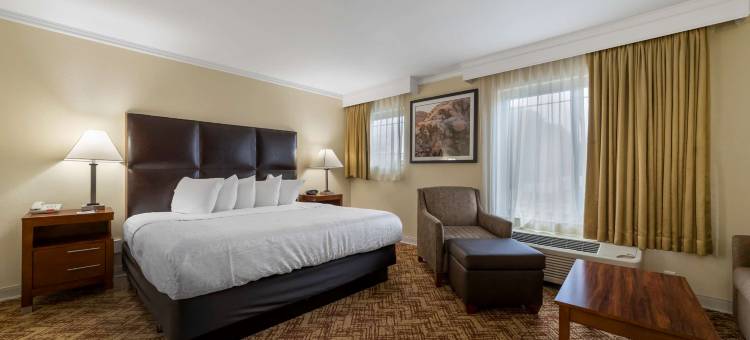 诺斯伍兹贝斯特韦斯特优质酒店(Best Western Plus Northwoods Inn)图片