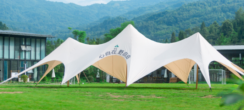 野宿·星空营地图片