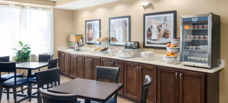 舒适套房酒店(Comfort Suites)图片