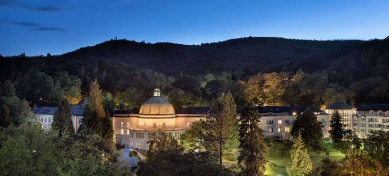 韦尔登根玛丽提姆拜德酒店(Maritim Hotel Bad Wildungen)图片