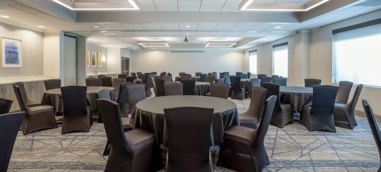 坦帕I-75布鲁斯B唐斯智选假日套房酒店(Holiday Inn Express & Suites Tampa-I-75 @ Bruce B. Downs)图片