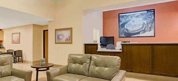 图森-格兰特路速8酒店(Super 8 by Wyndham Tucson/Grant Road Area AZ)图片