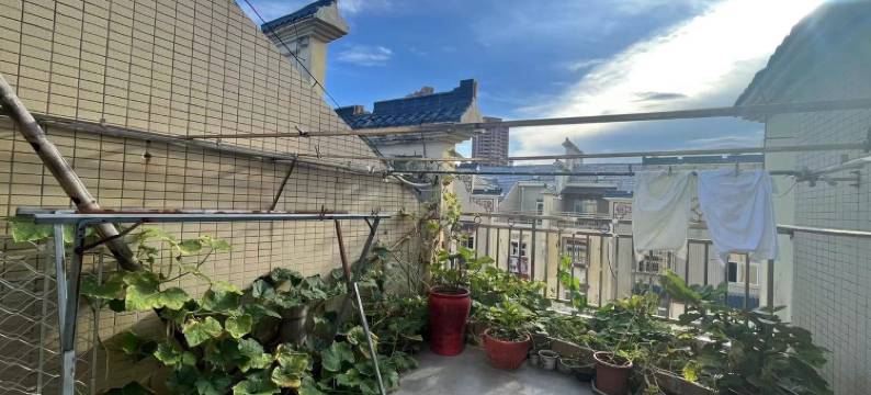 小潭公寓(竹屿湖东路分店)图片