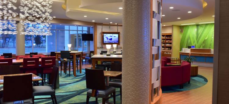 威斯康星戴尔斯SpringHill Suites酒店(SpringHill Suites Wisconsin Dells)图片