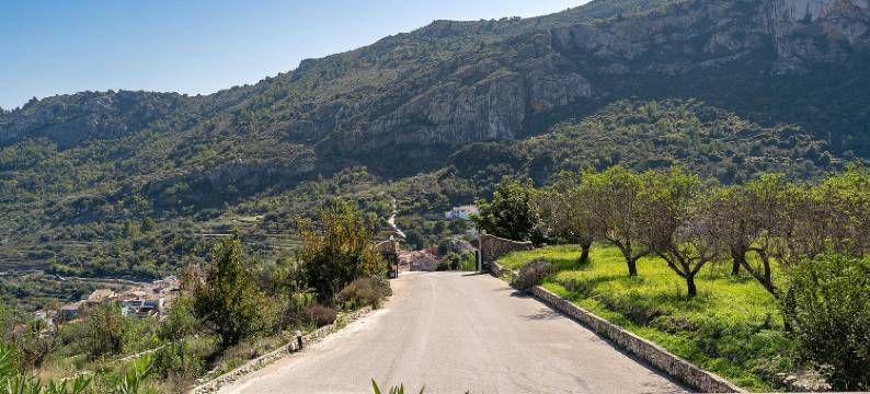 阿拉胡阿尔酒店(Hotel Alahuar)图片