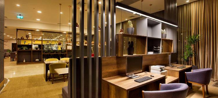 希尔顿花园旅馆-科贾埃利瑟克尔皮纳(Hilton Garden Inn Kocaeli Sekerpinar)图片