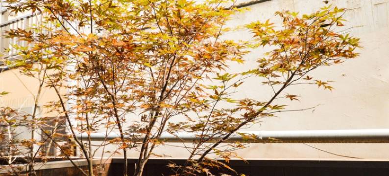 铃 清水五条町家(Rinn Kiyomizu Gojo Machiya)图片