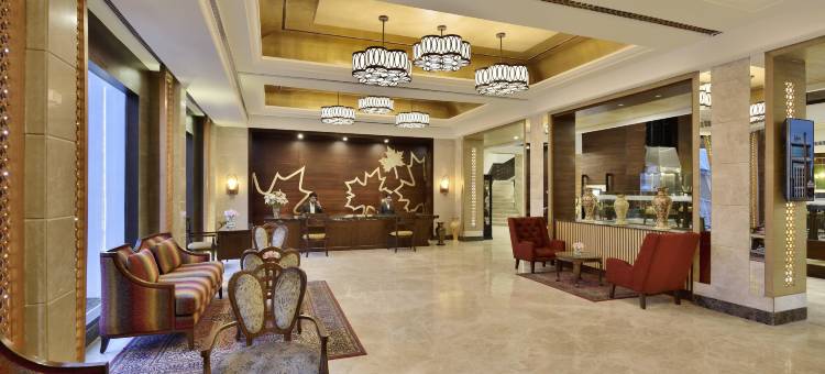 斯里纳格丽筠酒店(Radisson Srinagar)图片