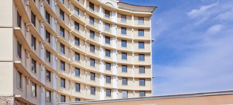 达拉斯医疗区-市场中心智选假日酒店(Holiday Inn Express Medical - Market Ctr)图片