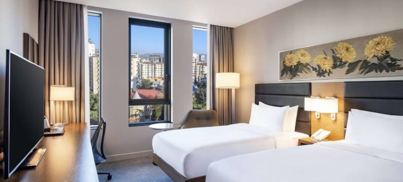 第比利斯希尔顿花园酒店(Hilton Garden Inn Tbilisi Chavchavadze)图片