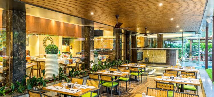 Treebo 高级大翡翠(Treebo Premium Grand Emerald)图片