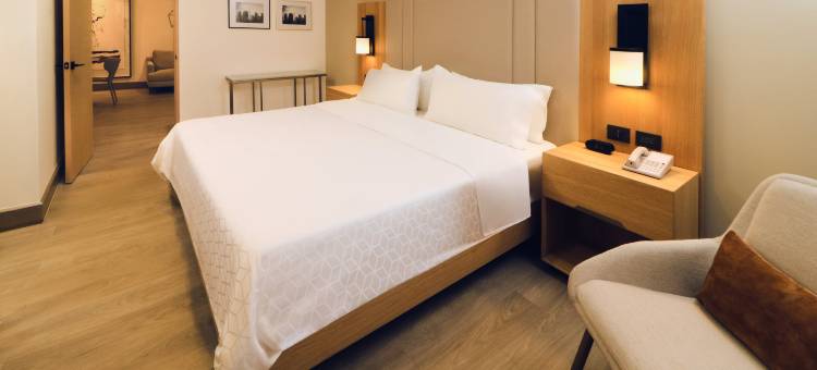 Holiday Inn 提华纳ZONA德尔里奥(Holiday Inn Tijuana Zona Rio)图片