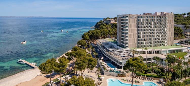 楝卡尔维亚比奇酒店(Meliá Calviá Beach)图片