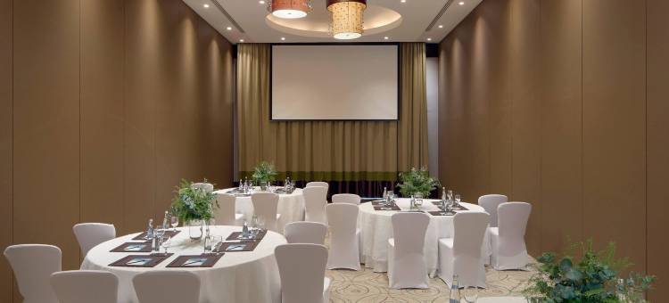 美利亚Meliá Collection沙漠棕榈(Meliá Desert Palm Member of Meliá Collection)图片