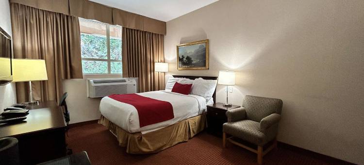 里士满温哥华机场贝斯特韦斯特必住酒店(SureStay by Best Western Richmond Vancouver Airport)图片