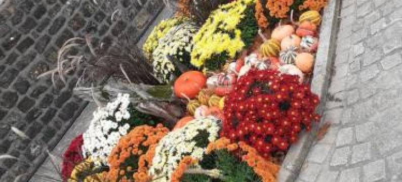 勒普雷斯比特尔客房(Le Presbytère Chambre d'hôtes)图片