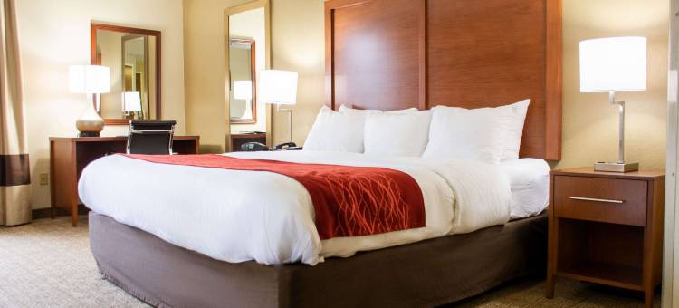 迪克森舒适酒店(Comfort Inn)图片