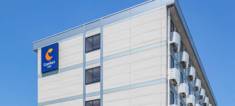 新泻龟田舒适酒店(Comfort Inn Niigata Kameda)图片