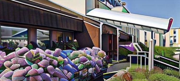 宜必思蒙贝利亚尔酒店(Ibis Montbéliard)图片