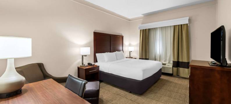 希思 - 纽瓦克南部的舒适套房酒店(Comfort Inn & Suites Heath - Newark South)图片