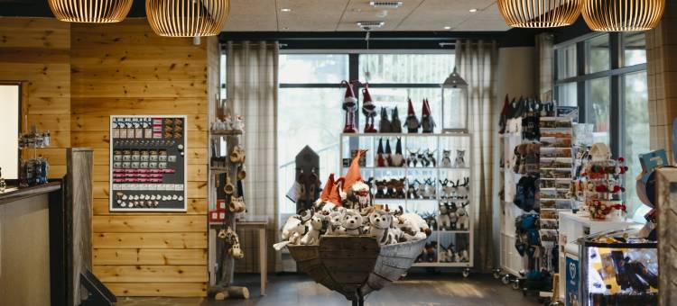 亚拉斯缇欧拉普兰酒店(Lapland Hotels Ylläskaltio)图片