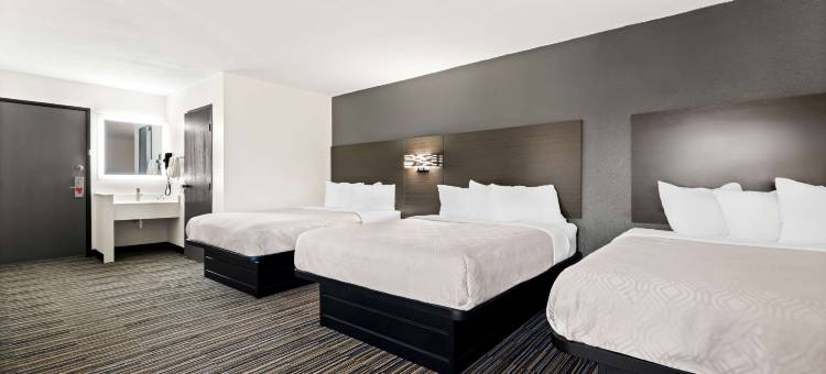 杜马斯伊克诺旅馆(Econo Lodge Dumas)图片