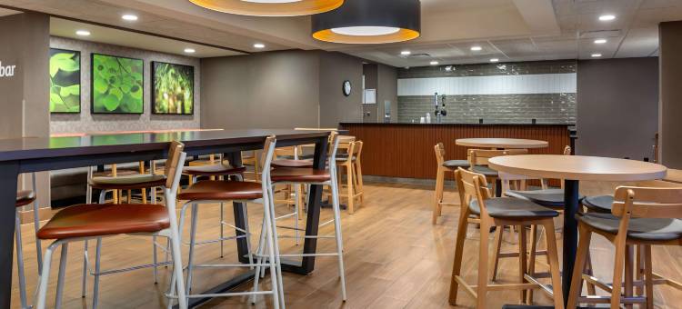 圣路易斯西南德鲁里套房酒店(Drury Inn & Suites St. Louis-Southwest)图片