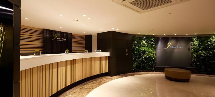 九树帕那斯首尔明洞 1(NINE TREE BY PARNAS SEOUL MYEONGDONG 1)图片