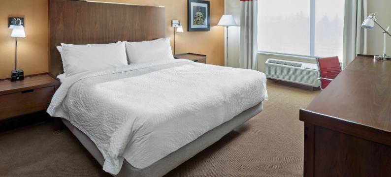 西埃德蒙顿福朋喜来登酒店(Four Points by Sheraton Edmonton West)图片