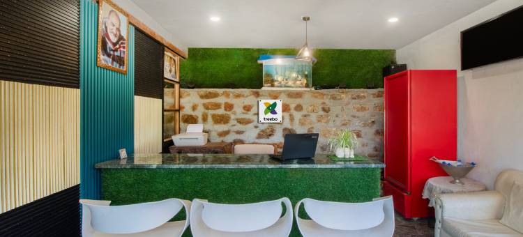 Treebo 湖景维斯塔(Treebo Vista Lago with Lake View)图片