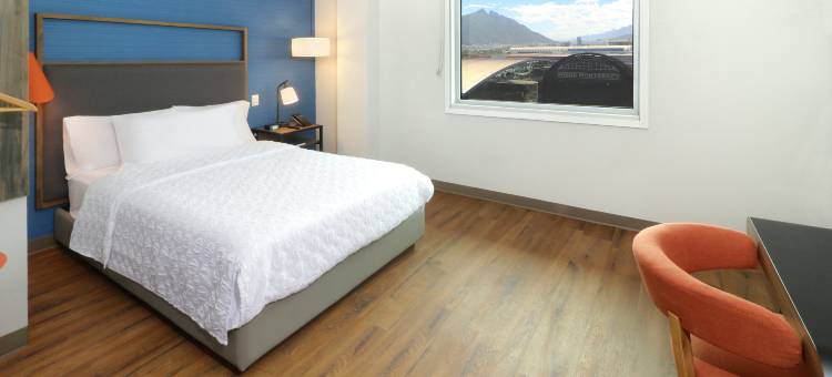 蒙特雷方迪多拉希尔顿特鲁酒店(Tru by Hilton Monterrey Fundidora)图片